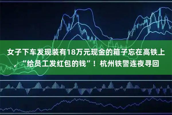 女子下车发现装有18万元现金的箱子忘在高铁上，“给员工发红包的钱”！杭州铁警连夜寻回