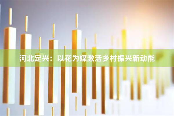 河北定兴：以花为媒激活乡村振兴新动能