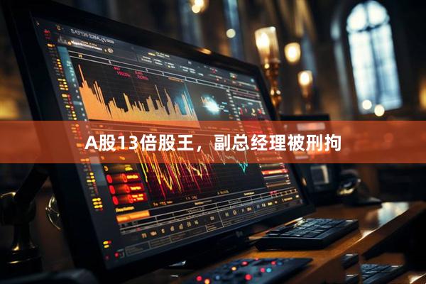 A股13倍股王，副总经理被刑拘