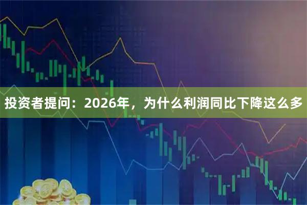 投资者提问：2026年，为什么利润同比下降这么多